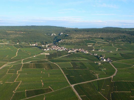 Vol en montgolfière au-dessus du camaïeu des vignes en été