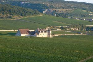 Vol en montgolfière au-dessus des Climats du Vignoble de Bourgogne et du Clos de Vougeot