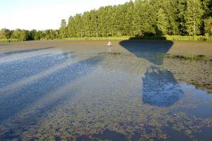 Vol en montgolfière au-dessus d'un étang en Bourgogne