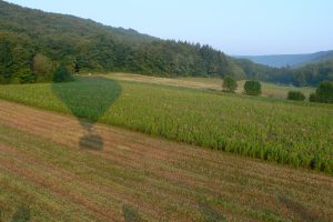 Ombre de la montgolfière sur les plantes fourragères à Marsannay-la-Côte